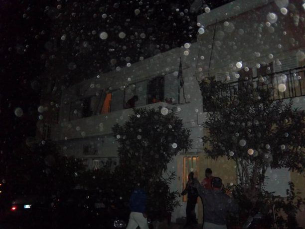 Κερατσίνι: Πετούσαν νερό και πέτρες στους φιλόζωους που διαμαρτυρήθηκαν για το έγκλημα